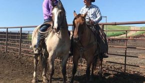 COUNTRY STRONG: Ranching duo brings technology to the corral | Local