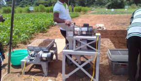 CSIR-CRI introduces iREACH technology to boost food security, crop value chain