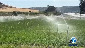 California water: New technology helps save water and environment; could make difference in farm profitability