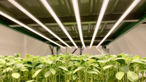 Capsum opens a lab farm at its research centre using iFarm technology