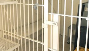 Carbon County leading Wyoming in jail technology | Regional News