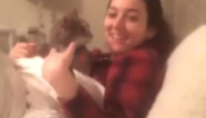 Cat Attacks Woman Singing Off Key