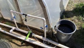 Clemson researchers develop new technology to help vegetable growers | Agriculture