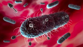 Clinical trial underscores safety of technology battling E. coli triggered UTIs