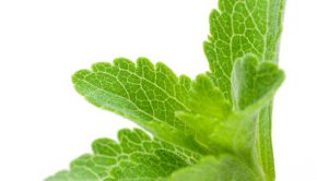 Codex Alimentarius adopts framework for stevia technology