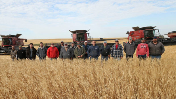 Community Rushes To Harvest Crop After Farmer Has Heart Attack