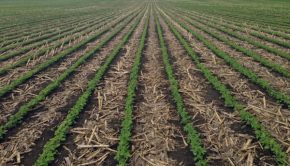 Conservation Tillage & Technology Conference, Ada, March 8-9 – AgFax