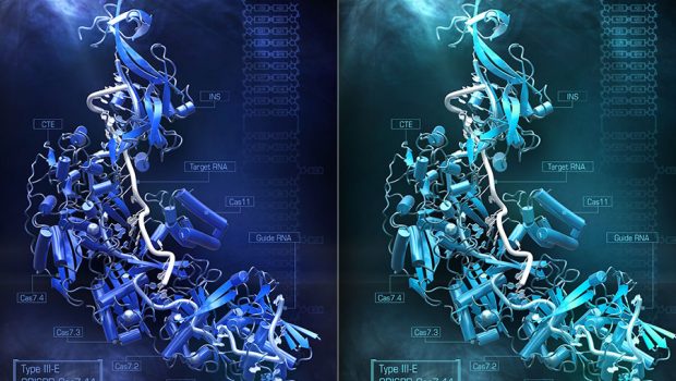 Convenience-sized RNA editing | MIT News