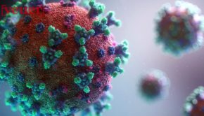 Coronavirus Pandemic Is Seeing Huge Surge in Ransomware and Phishing Scams