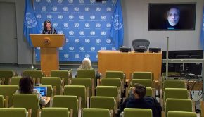 Current desert locust situation and FAO’s response - Press Conference (19 January 2021)