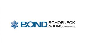 Cybersecurity and Data Privacy Developments | Bond Schoeneck & King PLLC