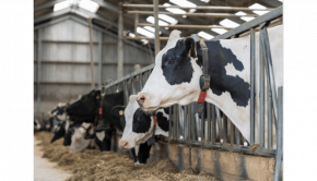 Dairy Technology Tuesdays | Morning Ag Clips