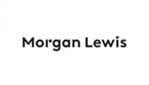 David Plotinsky – Technology and Foreign Investment in the US | Morgan Lewis - Tech & Sourcing