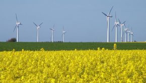 Denmark opens 428-MW technology-neutral renewables tender