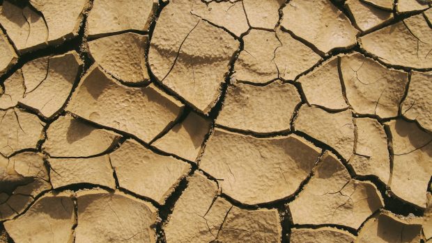Digitisation to curb the drought