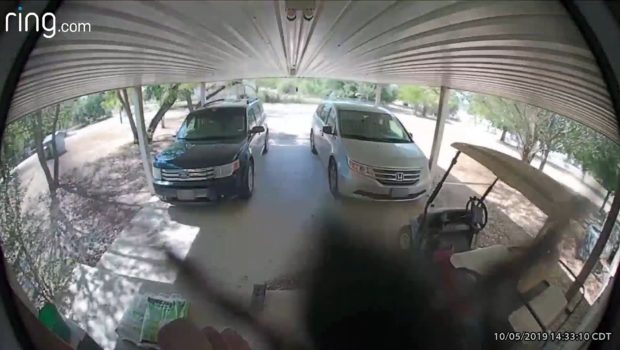Eight-Legged Visitor Activates Front-Door Security Camera System