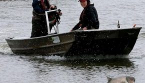 Facial recognition for fish? Researchers test technology on Asian carp in battle to stop invasive species | Nation and World