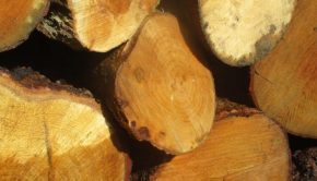 Firewood is old fashioned technology | Tony Tomeo | Valley Life