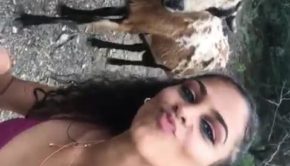 Goat Headbutts Girl Trying to Take Selfie With It