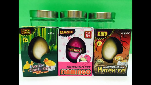 Growing Surprise MAGIC EGG Opening Duck, Dinosaur and Flamingo Pet Toy