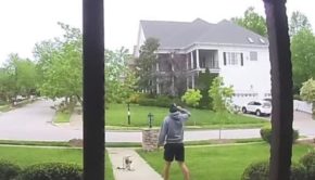 Guy Gets Attacked by Goose While Walking his dog Towards his House