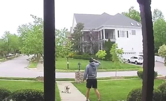 Guy Gets Attacked by Goose While Walking his dog Towards his House