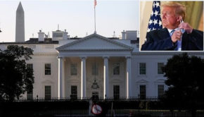 Head of White House security office is gravely ill with coronavirus - News Today