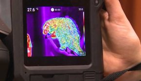 Infrared technology being used at Louisville Zoo to track health of wild animals