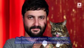 Internet Cat Sensation Lil BUB Has Died