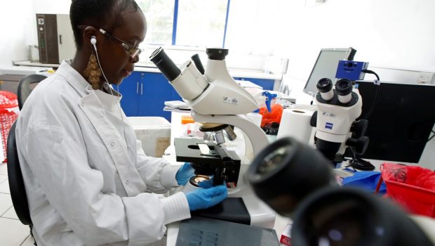Investment in science and technology is key to an Africa economic boom