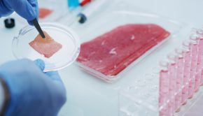 Israel’s Profuse Technology Raises $2.5M for Technology That Lowers Cost of Cultured Meat