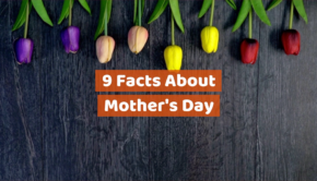 Knowledge On Mother's Day