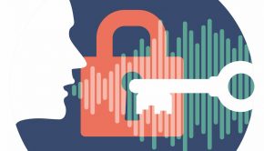 Leveraging voice technology to combat cyber-fraud