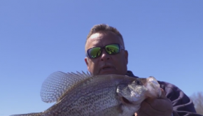 Local fisherman uses new technology to catch fish