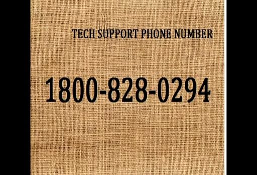 MSN TECH  Support PHONE Number +(1-8OO+828+0294)  Nk Toll Free