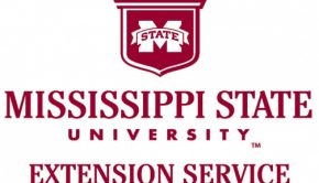 MSU hosts seed, ag technology short course