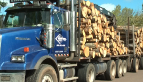 Michigan Tech on cutting edge of cross laminated timber technology