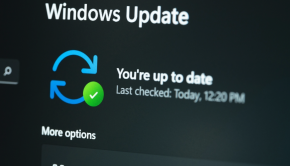 Microsoft Patch Tuesday, January 2023 Edition – Krebs on Security