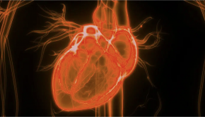 Molecular Heart Mapping and Cripsr Technology Create New Possibilities for Health Science