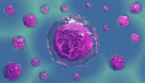 Nanoparticle "Backpacks" Restore Damaged Stem Cells