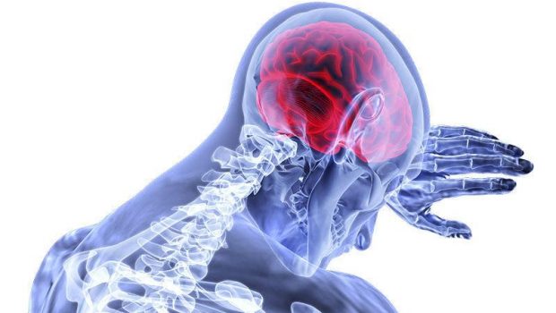 Neuroscience seminar highlights technologies for brain injuries, vaccine developments - Newsbug.info