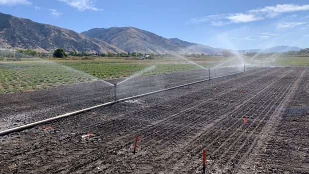 New irrigation research and technology is helping Utah farmers produce food and save water