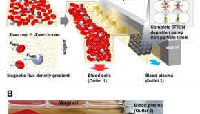 A schematic illustration of the microfluidic device for blood plasma separation using diamagnetic repulsion of blood cells.