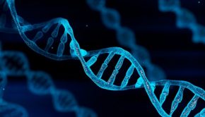 New technology helps reveal inner workings of human genome