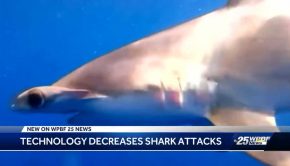 New technology in Florida decreases shark attacks, increases catches for fishermen