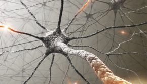 New technology makes it easier to diagnose neurodegenerative diseases