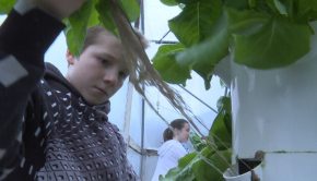 Nixa elementary students using “tower garden” innovative farming technology to help Christian County food pantry
