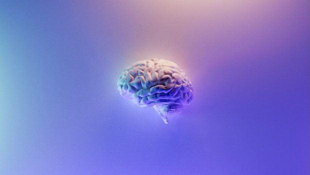Novel Mini Brains Mimic Major Pathological Features of Parkinson’s Disease