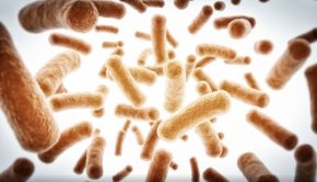 Novel spray-drying technology enhances probiotic viability in the digestive tract