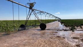 Panhandle Runs on Water: Technology helping producers be more eco-friendly during drought - abc7amarillo.com